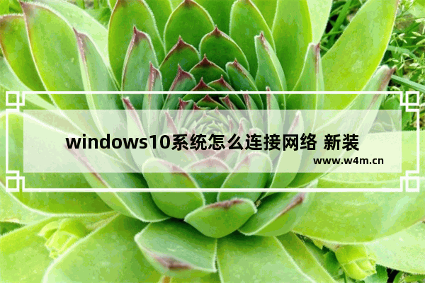 windows10系统怎么连接网络 新装的windows10系统怎么连接网络