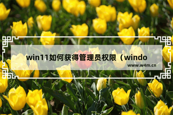 win11如何获得管理员权限（windows10powershell怎么升级为管理员）