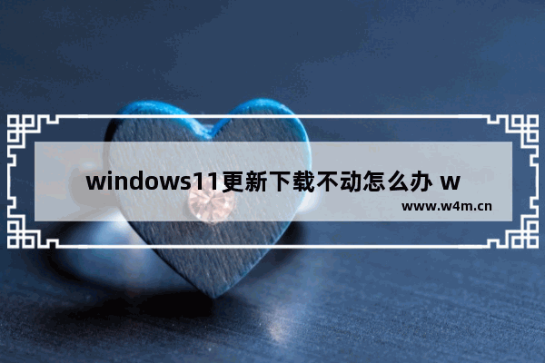 windows11更新下载不动怎么办 windows11更新下载不动解决方法