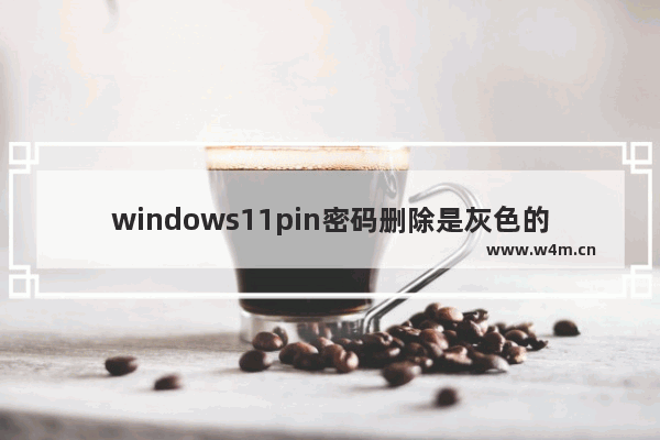 windows11pin密码删除是灰色的怎么办 windows11pin密码删除是灰色的解决方法