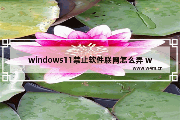 windows11禁止软件联网怎么弄 windows11禁止软件联网方法介绍