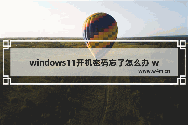 windows11开机密码忘了怎么办 windows11开机密码忘了解决教程