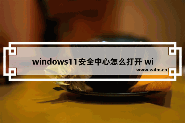 windows11安全中心怎么打开 windows11安全中心打开方法介绍