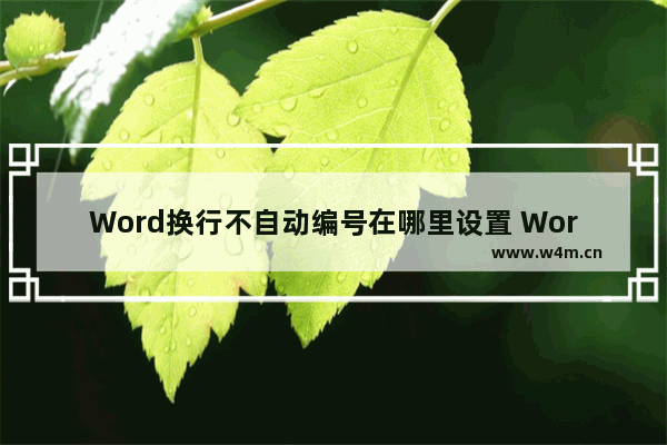 Word换行不自动编号在哪里设置 Word设置换行不自动编号的教程