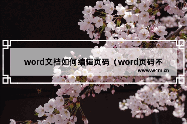 word文档如何编辑页码（word页码不连续了怎么处理）