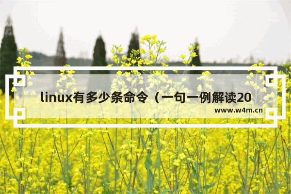 linux有多少条命令（一句一例解读20条Linux常用指令）