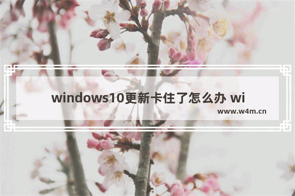 windows10更新卡住了怎么办 windows10系统更新卡住解决办法