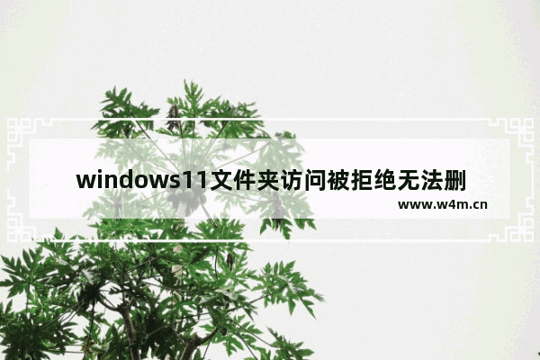 windows11文件夹访问被拒绝无法删除怎么办