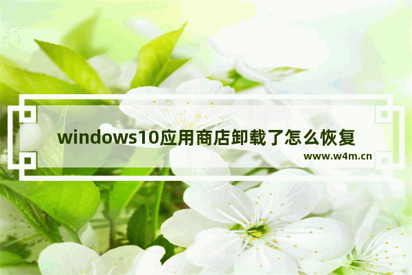 windows10应用商店卸载了怎么恢复 windows10应用商店卸载了怎么办