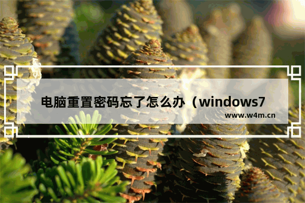 电脑重置密码忘了怎么办（windows7电脑忘记开机密码解决方法）