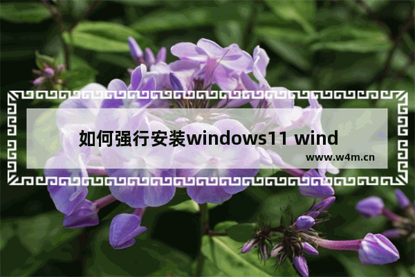 如何强行安装windows11 windows11强行安装方法介绍