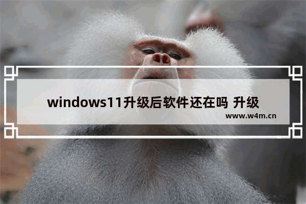 windows11升级后软件还在吗 升级windows11原来的软件还在吗