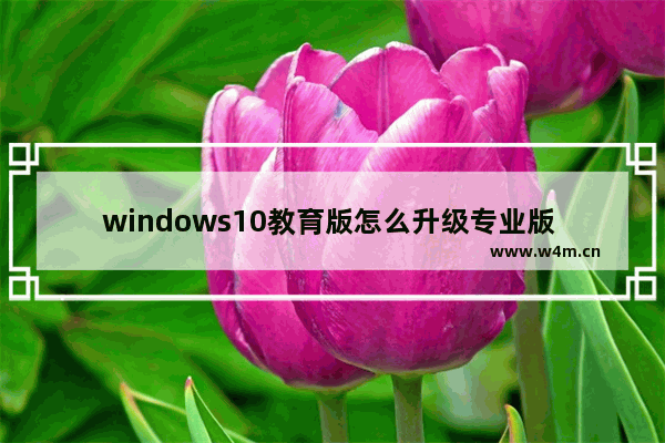 windows10教育版怎么升级专业版 windows10教育版升级专业版教程