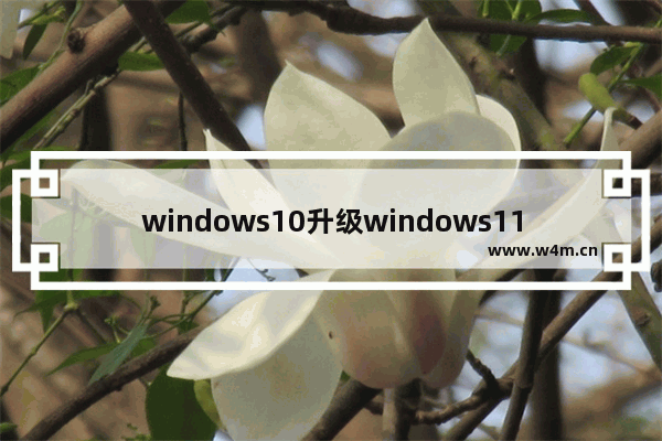 windows10升级windows11对清除数据吗 windows10升级windows11会清除c盘数据吗