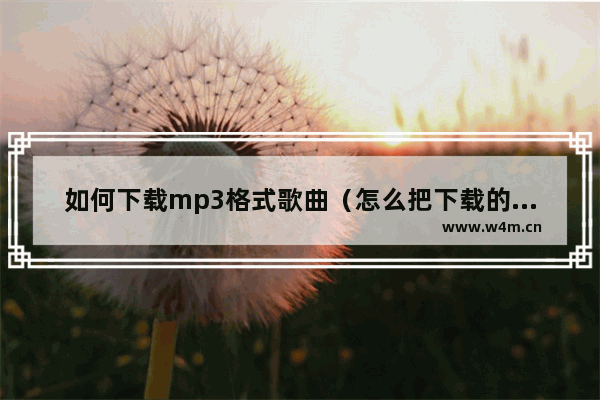 如何下载mp3格式歌曲（怎么把下载的音频转换成mp3格式）