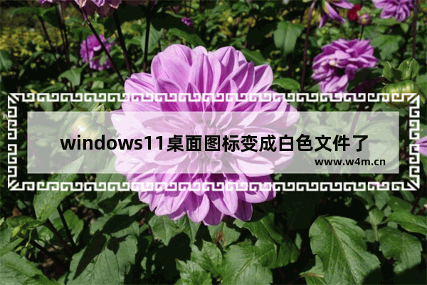 windows11桌面图标变成白色文件了怎么办