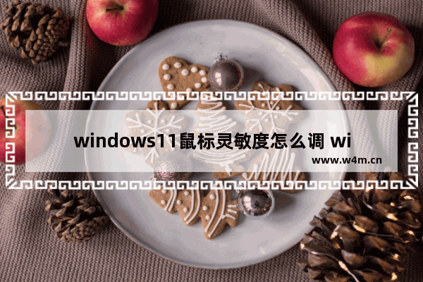 windows11鼠标灵敏度怎么调 windows11鼠标灵敏度调节方法介绍