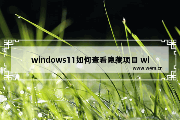 windows11如何查看隐藏项目 windows11如何查看隐藏文件