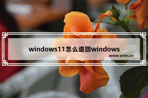 windows11怎么退回windows10 windows11退回windows10方法