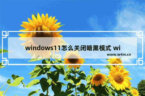 windows11怎么关闭暗黑模式 windows11如何取消暗黑模式