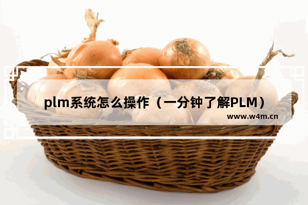 plm系统怎么操作（一分钟了解PLM）