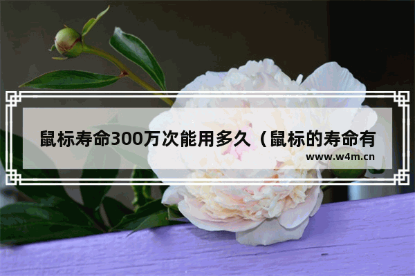 鼠标寿命300万次能用多久（鼠标的寿命有多长）