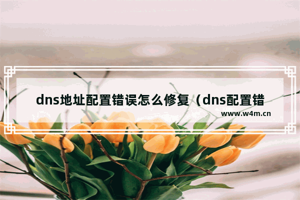 dns地址配置错误怎么修复（dns配置错误完整修复教程）