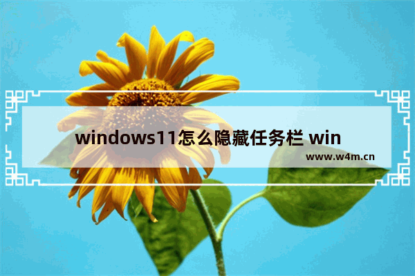 windows11怎么隐藏任务栏 windows11如何隐藏任务栏