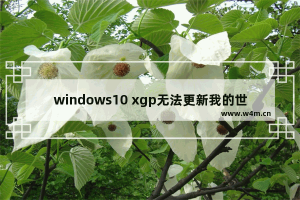 windows10 xgp无法更新我的世界原生启动程序如何解决 windows10 xgp无法更新我的世界原生启动程序解决方法