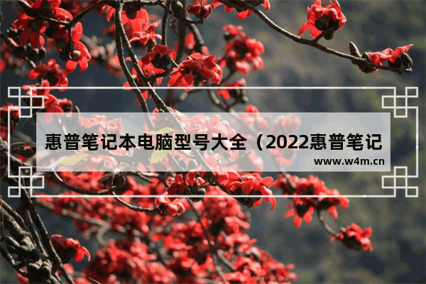 惠普笔记本电脑型号大全（2022惠普笔记本电脑哪款性价比高）