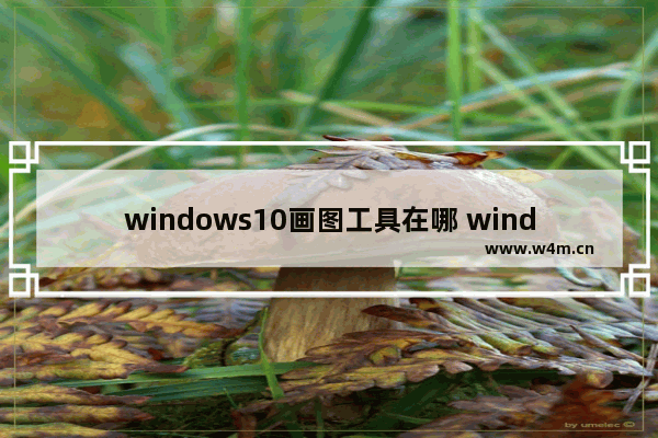 windows10画图工具在哪 windows10画图工具位置一览