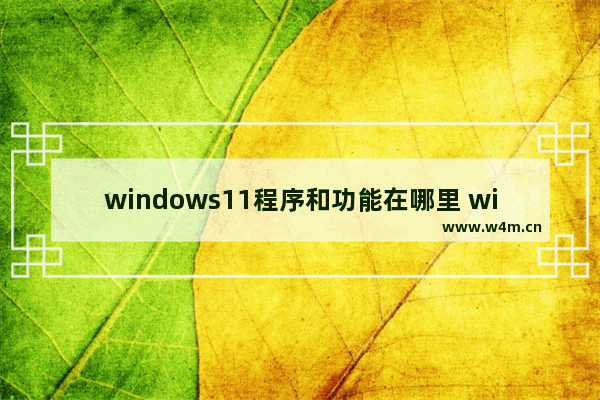 windows11程序和功能在哪里 windows11程序和功能位置一览