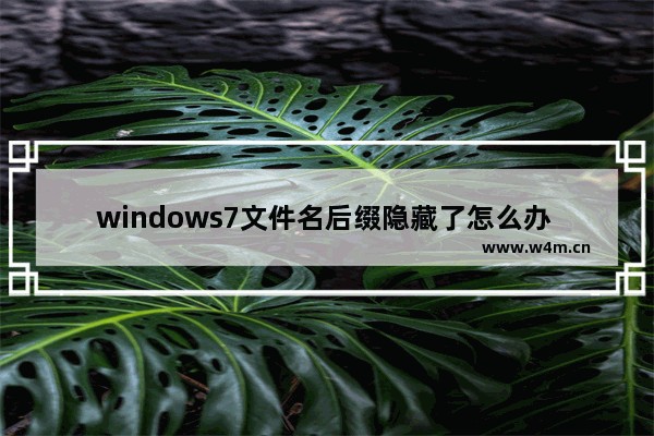 windows7文件名后缀隐藏了怎么办 windows7怎么打开隐藏的后缀名