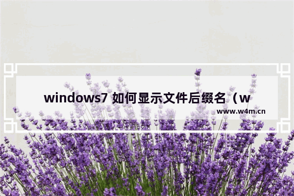 windows7 如何显示文件后缀名（windows7显示文件后缀名的方法）