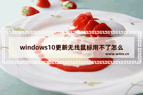 windows10更新无线鼠标用不了怎么办 windows10更新无线鼠标用不了解决方法