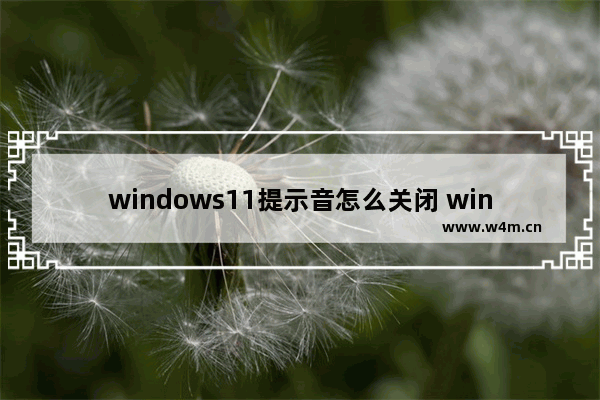 windows11提示音怎么关闭 windows11提示音如何关闭