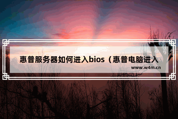 惠普服务器如何进入bios（惠普电脑进入BIOS方法）