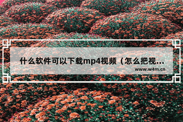 什么软件可以下载mp4视频（怎么把视频转换成mp4格式）