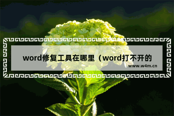 word修复工具在哪里（word打不开的几种解决方法）