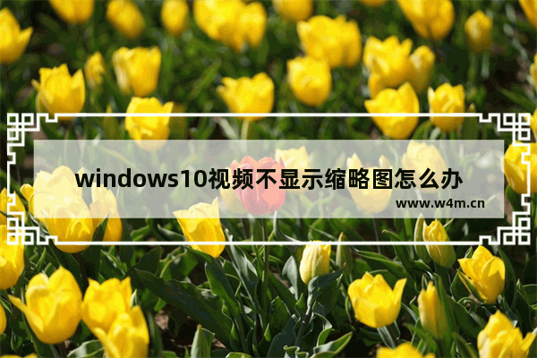 windows10视频不显示缩略图怎么办 windows10视频不显示缩略图解决办法