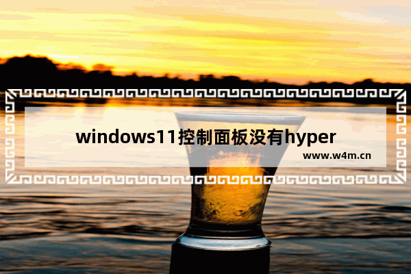 windows11控制面板没有hyperv选项怎么办 windows11控制面板没有hyperv选项解决办法