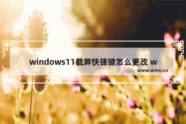 windows11截屏快捷键怎么更改 windows11截屏快捷键更改教程