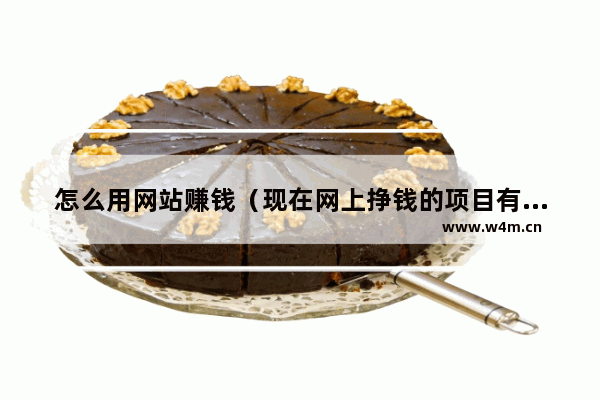 怎么用网站赚钱（现在网上挣钱的项目有哪些）