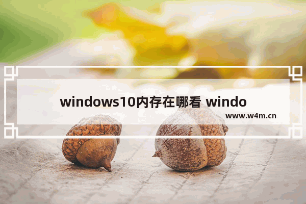 windows10内存在哪看 windows10系统电脑内存在哪里看