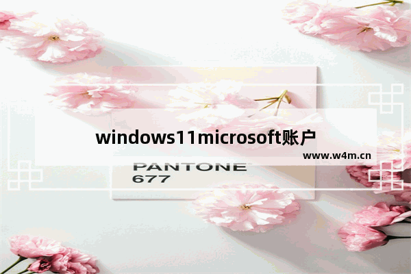 windows11microsoft账户登录不上怎么办 windows11microsoft账户登录不上解决方法