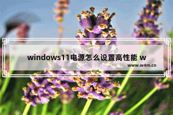 windows11电源怎么设置高性能 windows11电源设置高性能教程