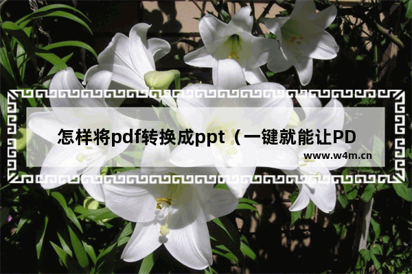 怎样将pdf转换成ppt（一键就能让PDF和PPT相互转换）