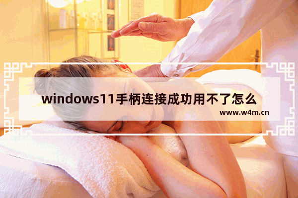 windows11手柄连接成功用不了怎么办 windows11手柄连接成功用不了的解决方法