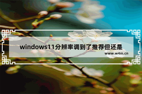 windows11分辨率调到了推荐但还是有黑边怎么办 windows11分辨率调到了推荐但还是有黑边解决办法