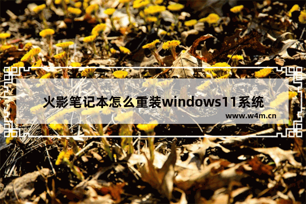 火影笔记本怎么重装windows11系统 火影笔记本一键重装windows11系统教程